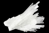 Scolecite Crystal Sprays - India #177526-1